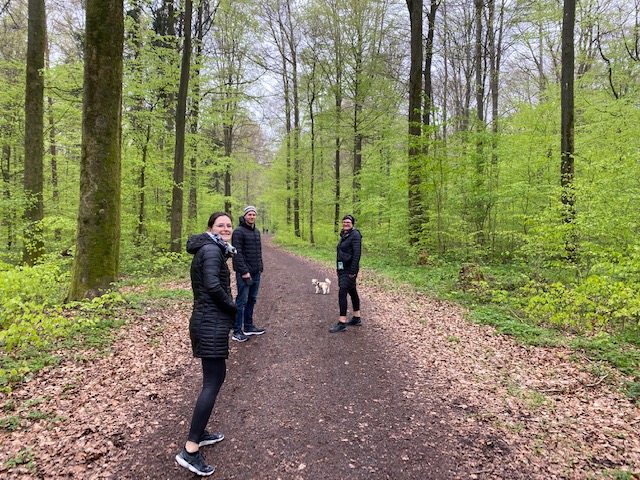 Wanderung im Kirchhausener Wald